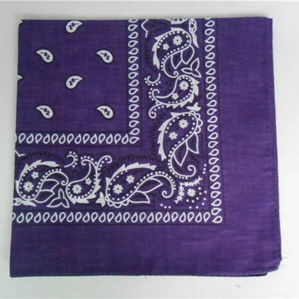 Cashew Flower Paisley Hip Hop Square Scarf
