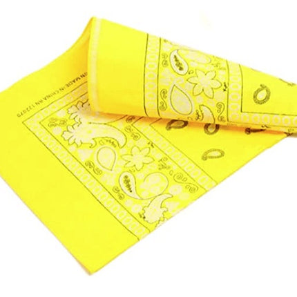 Cashew Flower Paisley Hip Hop Square Scarf