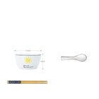 Dishes set household ceramics