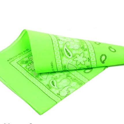 Cashew Flower Paisley Hip Hop Square Scarf