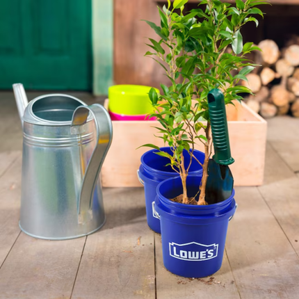 Lowes Mini Bucket