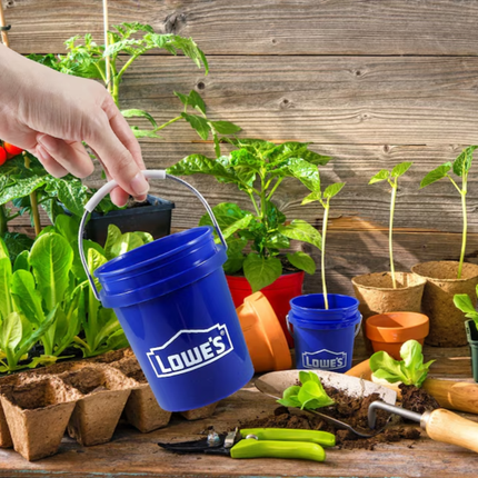 Lowes Mini Bucket