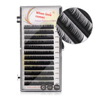 Grafting false eyelashes