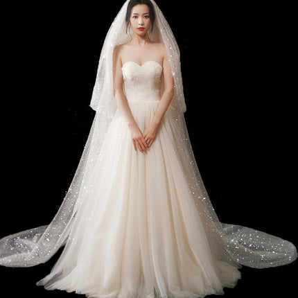 Bridal Wedding Dress Long Tail Luxury Super Fairy Wedding Veil
